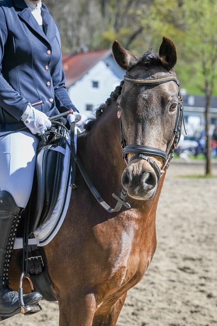 PG电子官方网站  PG电子官方网站 - PG SOFT GAMING