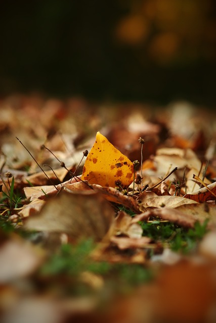 PG电子官方网站  PG电子官方网站 - PG SOFT GAMING