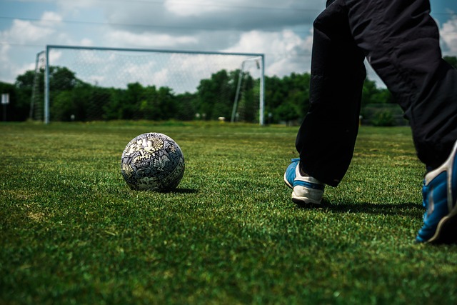 引了世界各 引了世界各