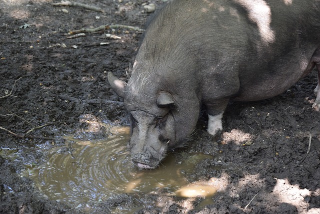 PG电子官方网站  PG电子官方网站 - PG SOFT GAMING