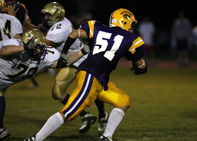 PG电子官方网站  PG电子官方网站 - PG SOFT GAMING