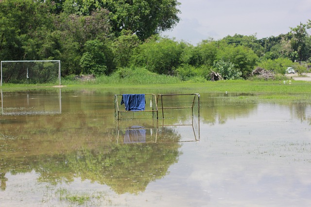 的战术意图 的战术意图