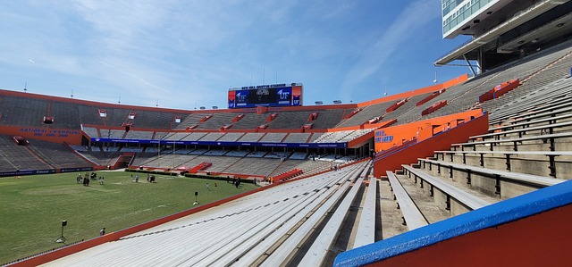 的角度来看 的角度来看