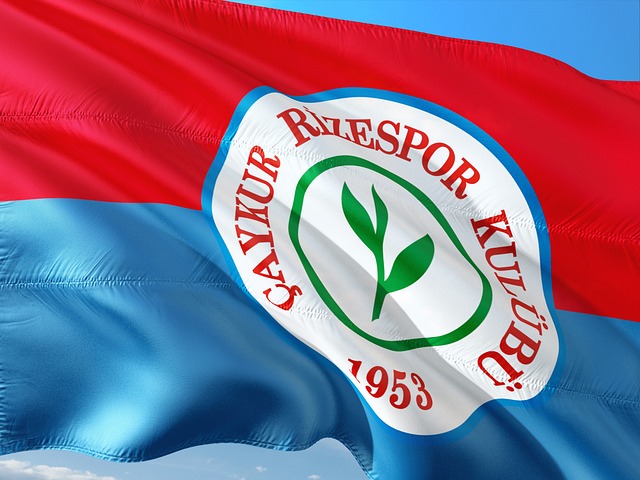 杨巧双与阿 杨巧双与阿