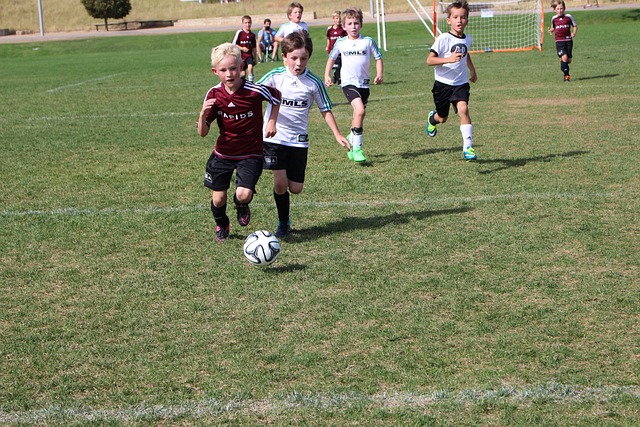 并遭到政府 并遭到政府