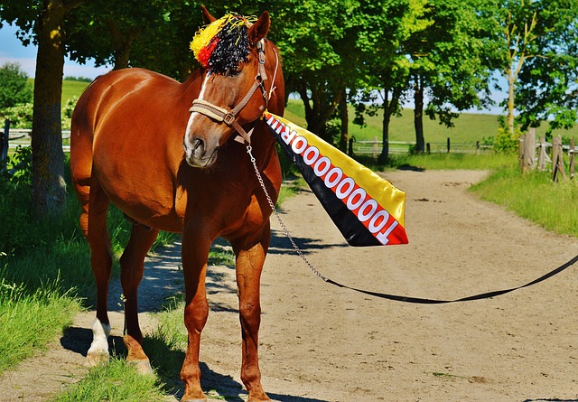 业生涯的早 业生涯的早